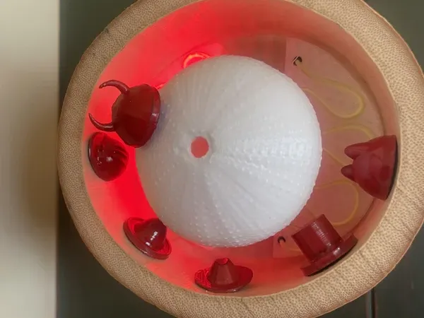 封面