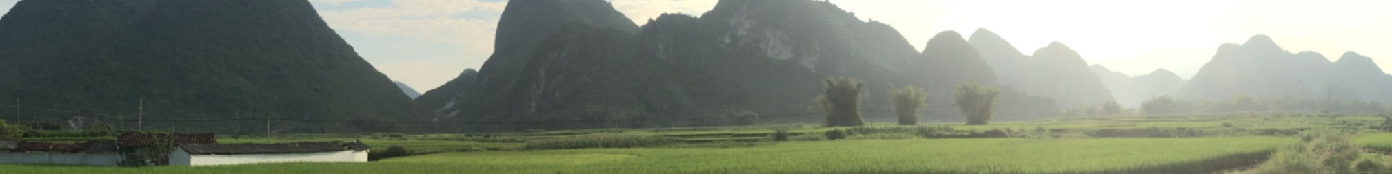 背景图片