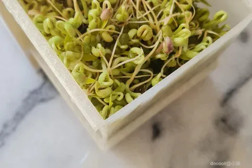 点击放大 图片