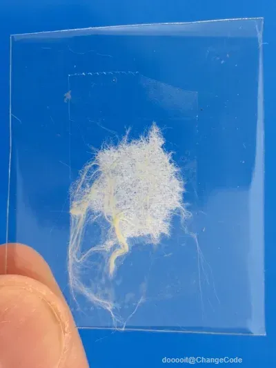点击放大 图片