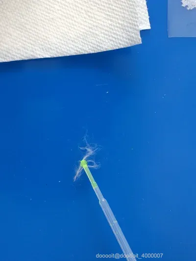 点击放大 图片
