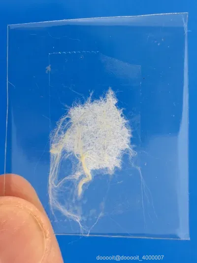点击放大 图片