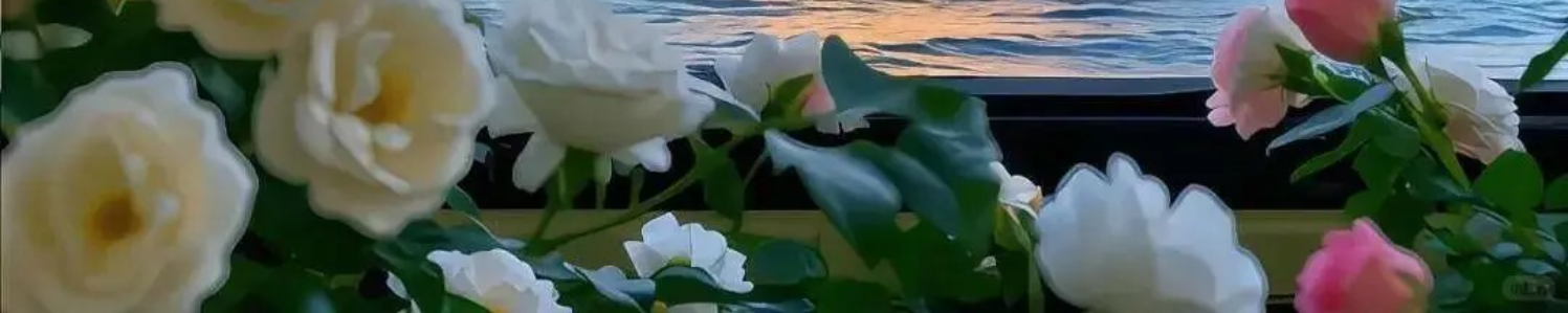 背景图片
