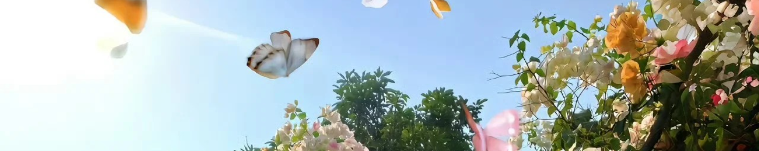 背景图片