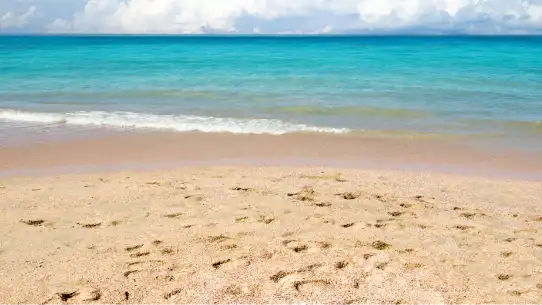 beach