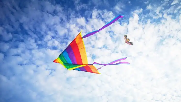 kites