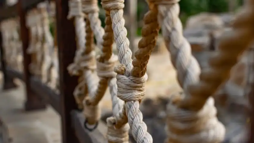 knots