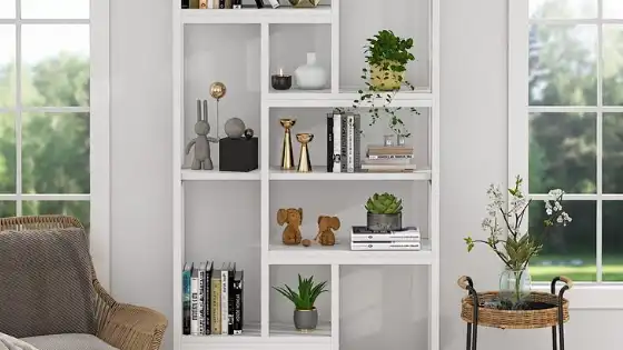 shelves